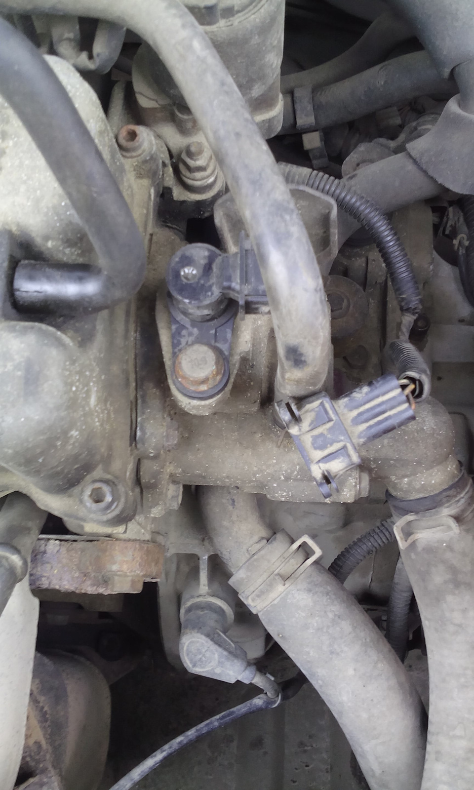 Фото в бортжурнале Chevrolet Aveo Sedan (1G)