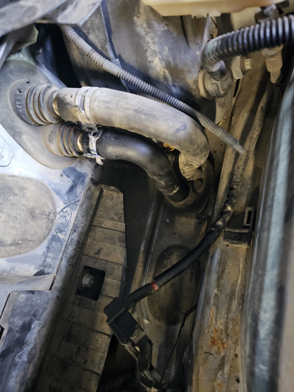 Фото в бортжурнале Audi A4 (B7)