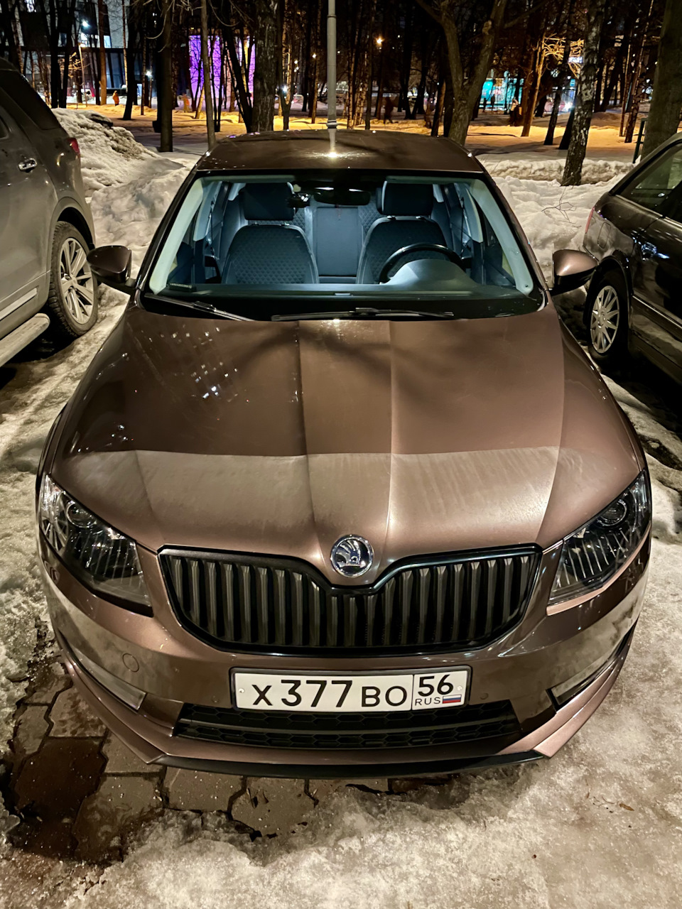 Из зимнего, после мойки, как раз туманка и вспотела — Skoda Octavia A7 Mk3