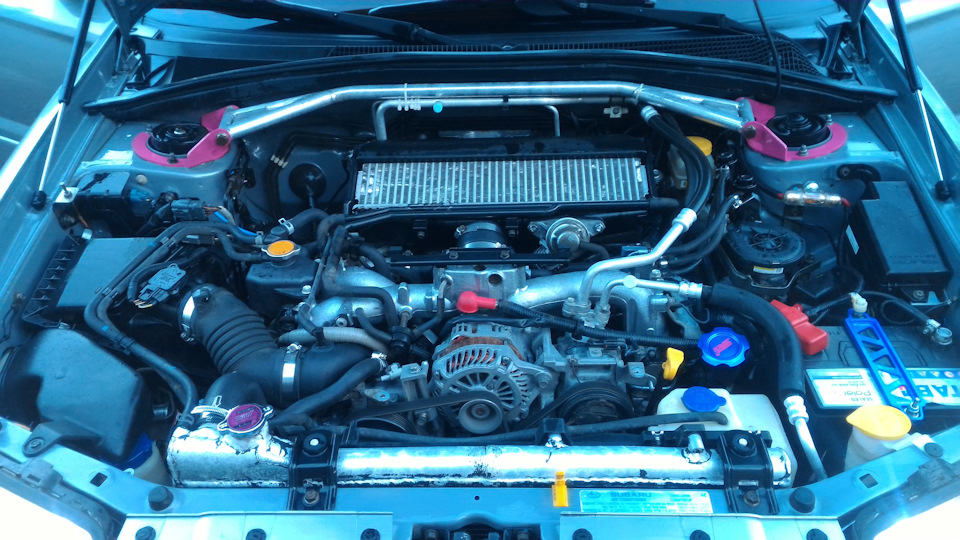 Фото в бортжурнале Subaru Forester (SG)