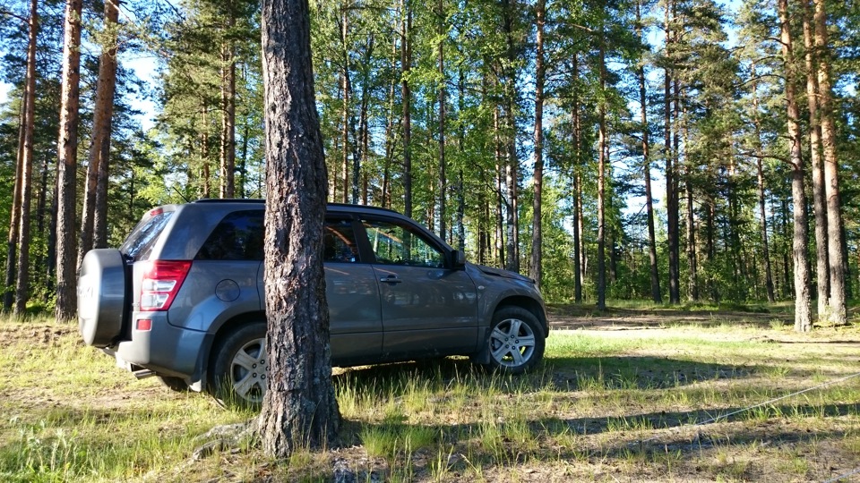 Suzuki Grand Vitara Виталий Дмитриевич )