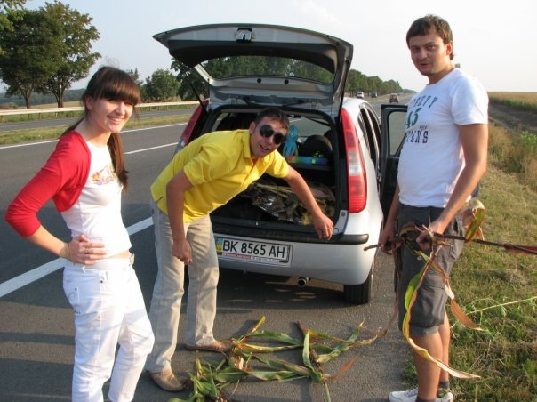 Фото в бортжурнале Mitsubishi Colt VII