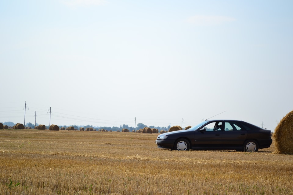 Фото в бортжурнале Renault Safrane