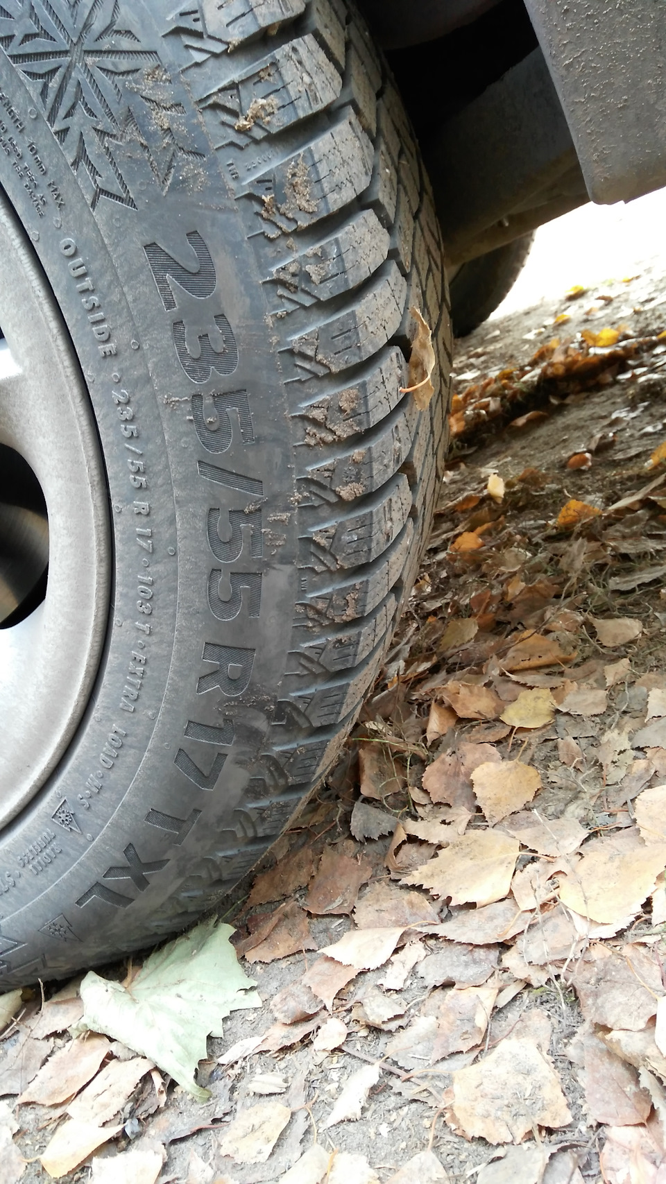 Фото №6 — BMW X3 (E83)