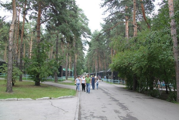 Фото в бортжурнале УАЗ Patriot