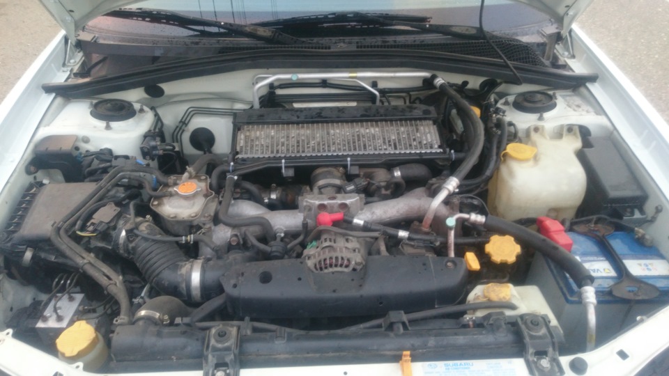 Фото в бортжурнале Subaru Forester (SG)