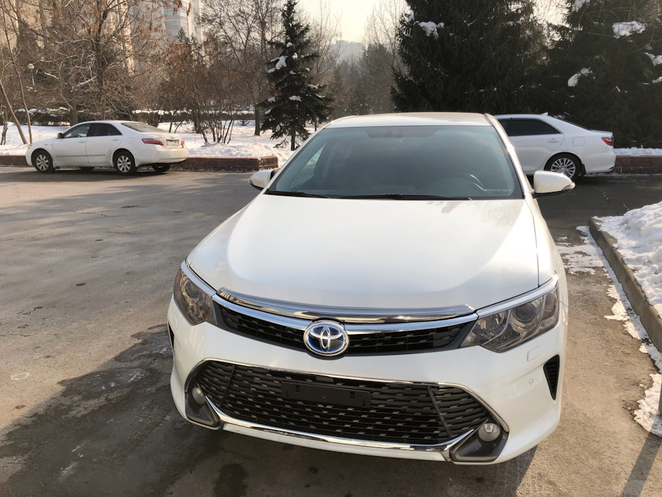 одни тойоты, одни камри — Toyota Camry (XV50)
