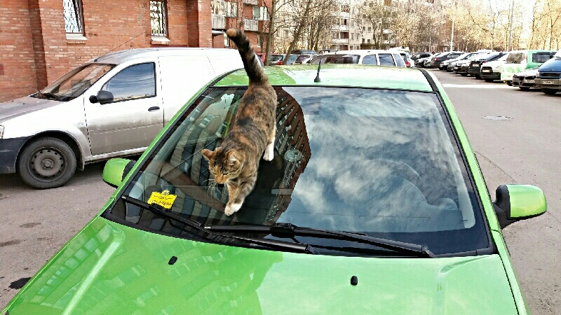 Фото в бортжурнале Ford Fiesta (Mk V)