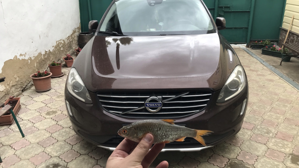 Volvo XC60