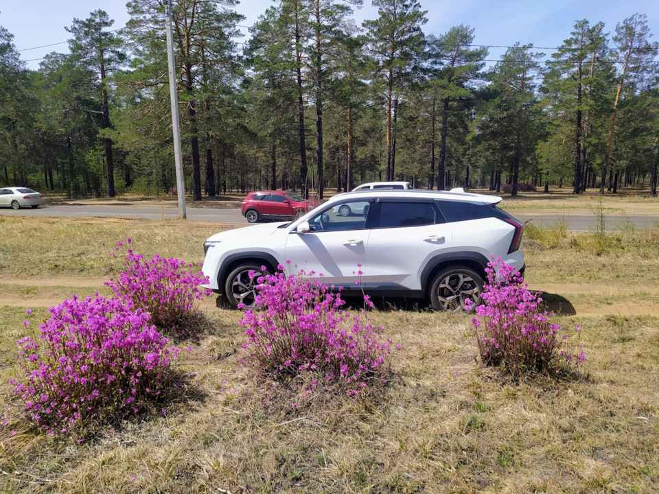 Photo from the logbook Geely Atlas (2G)
