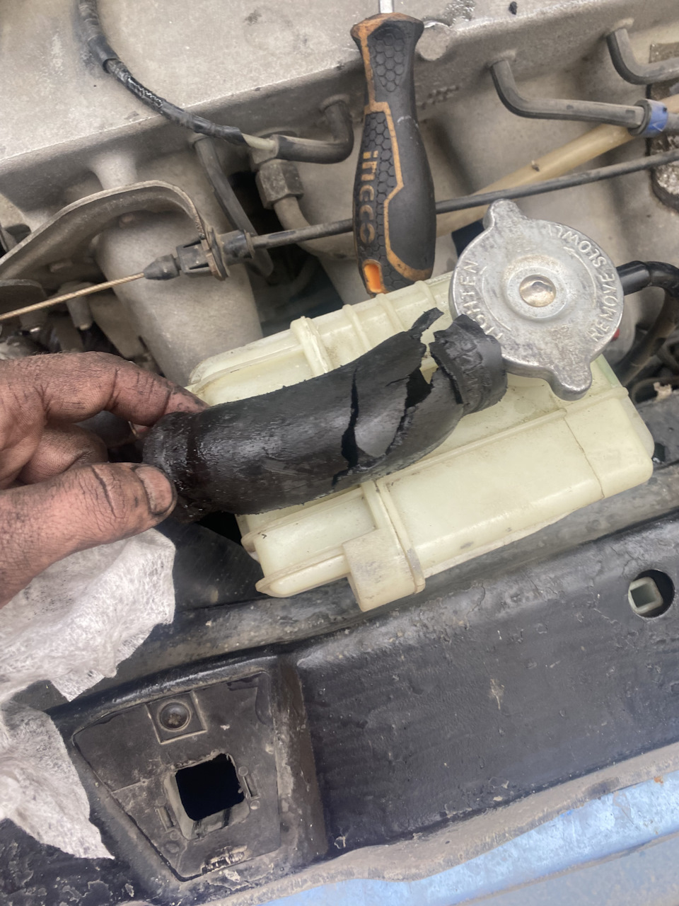 Фото в бортжурнале Mercedes-Benz Vito (1G)