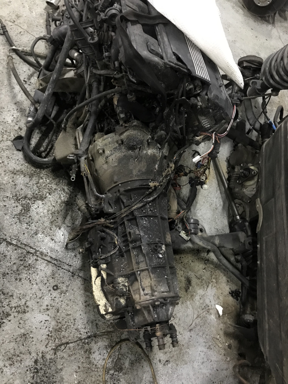 Фото в бортжурнале BMW 5 series (E39)