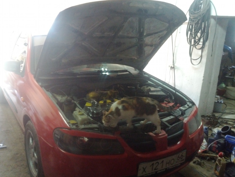 помошник — Nissan Almera II (N16)
