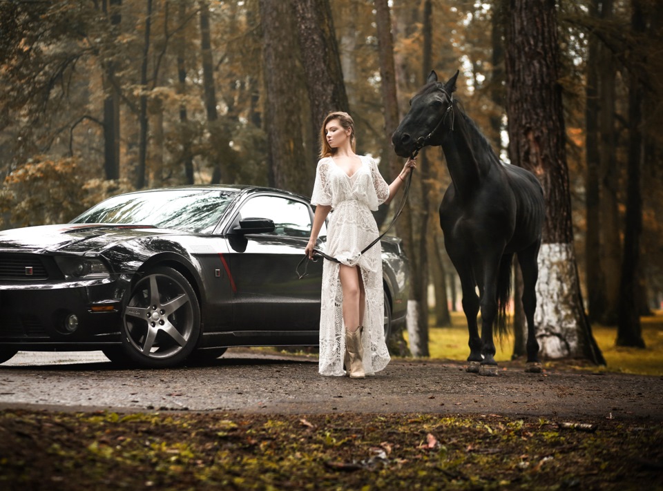Фото в бортжурнале Ford Mustang (5G)