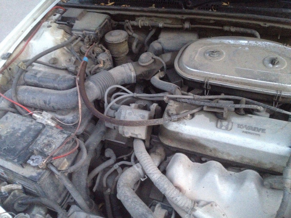 Фото в бортжурнале Honda Ascot (1G)
