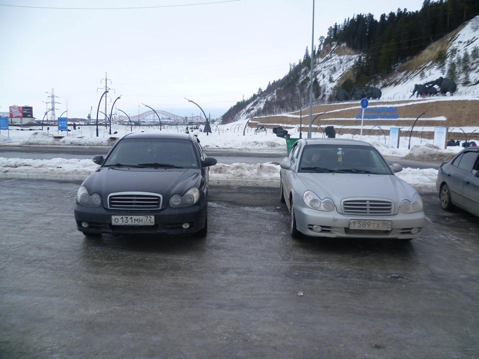 Пара сонек в парке))) — Hyundai Sonata IV (EF)