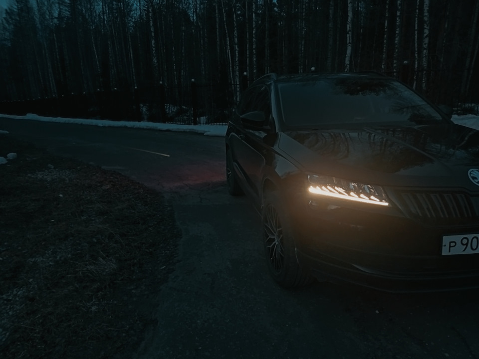 Фото в бортжурнале Skoda Karoq. Запчасти на фото: Dunlop SP 90
