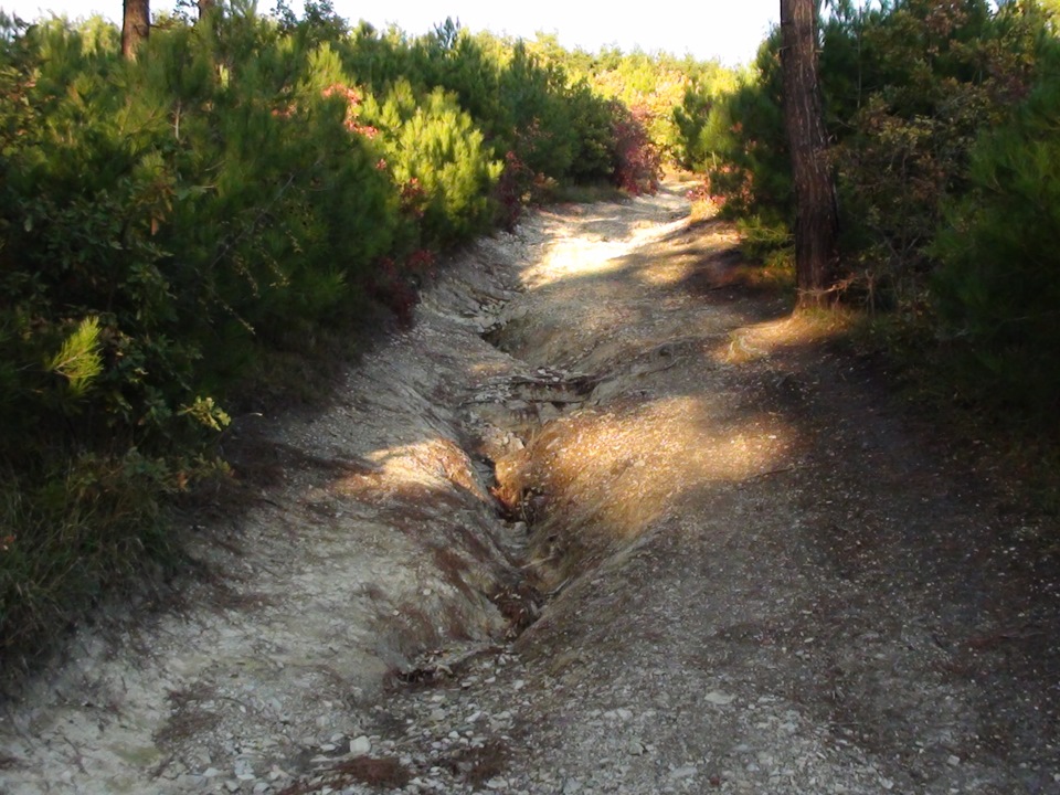 Фото в бортжурнале Land Rover Discovery I