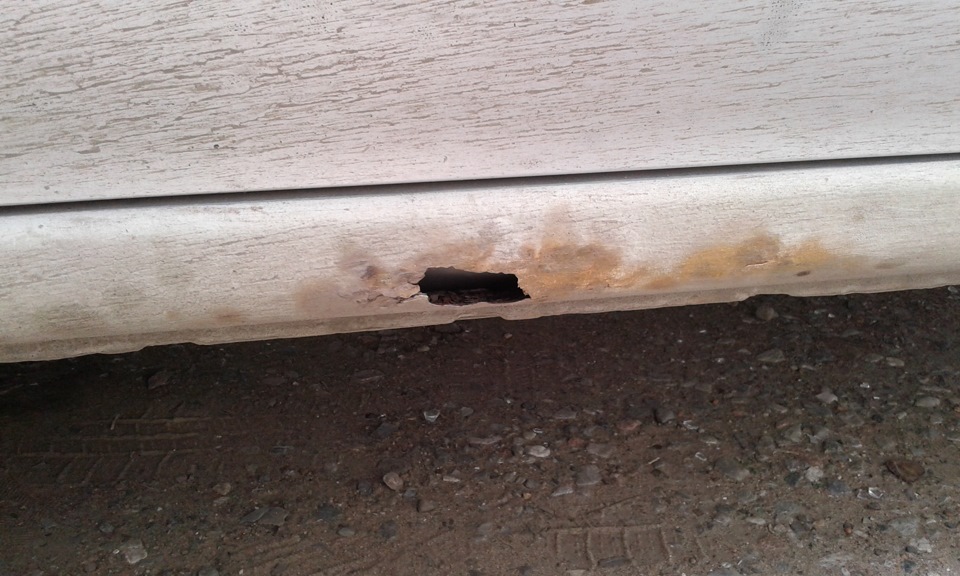 Фото в бортжурнале Nissan Sunny (B15)