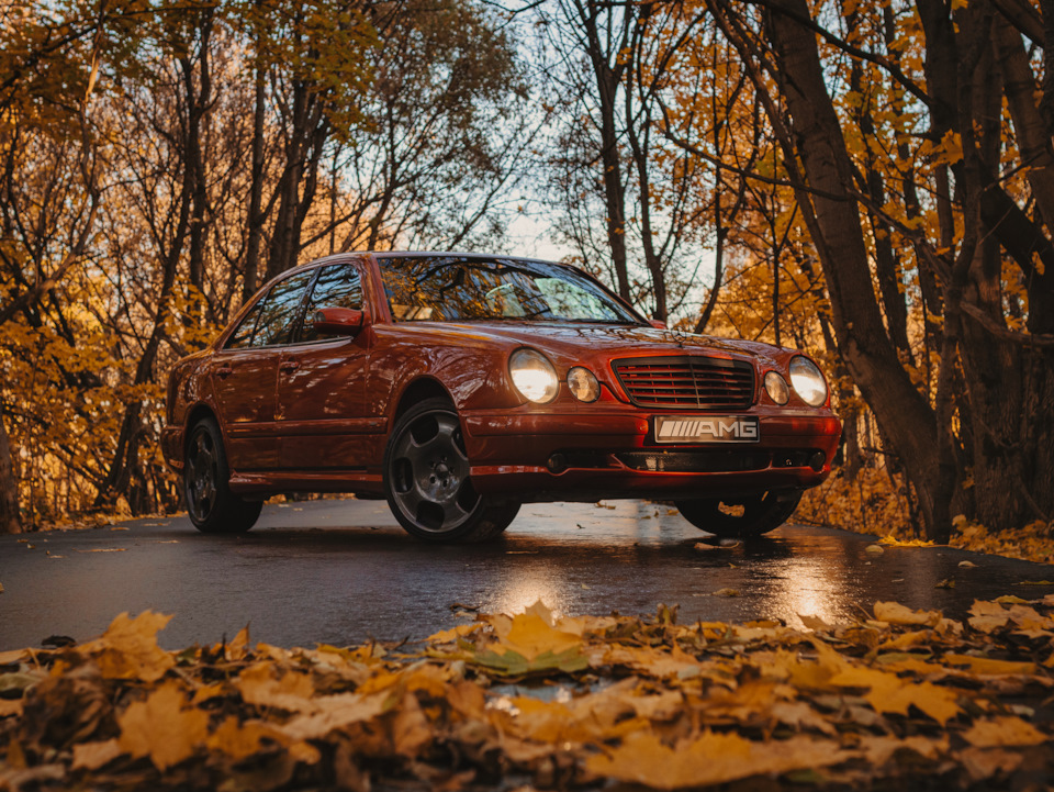 Фото в бортжурнале Mercedes-Benz E-Class (W210)