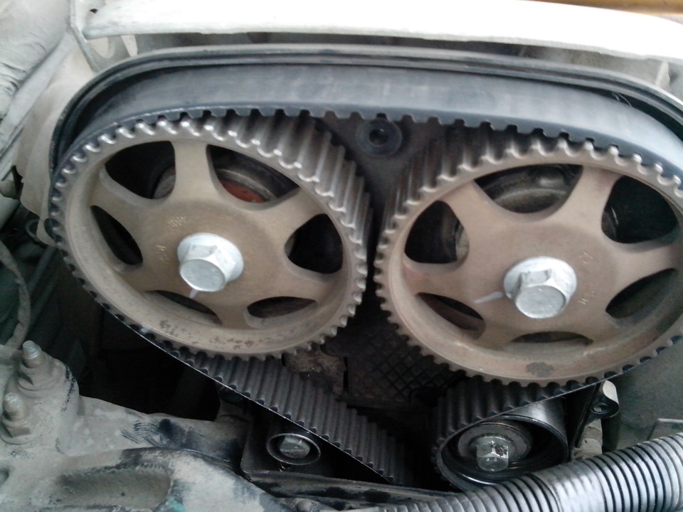 Фото в бортжурнале Chery M11