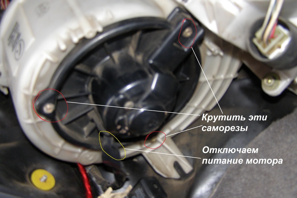 Фото без фокуса (сорри) но что крутить, думаю понятно — Toyota Corolla (110)