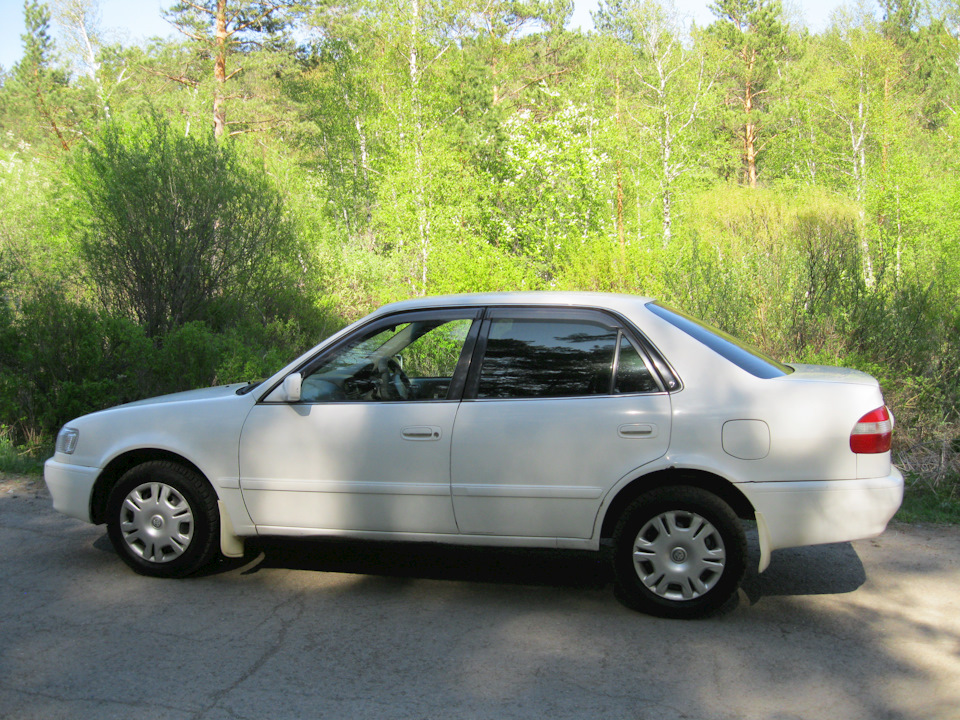 Фото в бортжурнале Toyota Corolla (110)