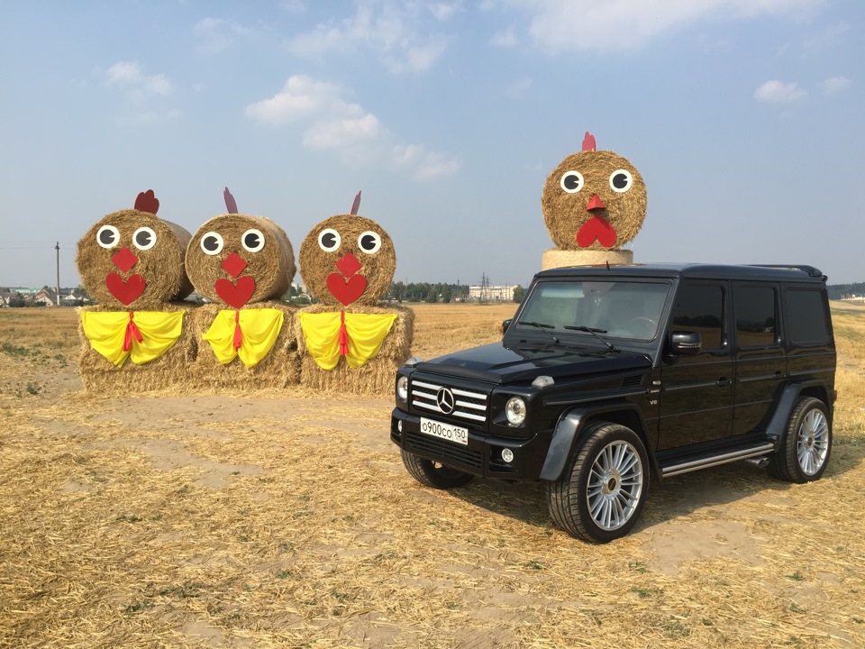 Фото в бортжурнале Mercedes-Benz G-Class (W463 1G)