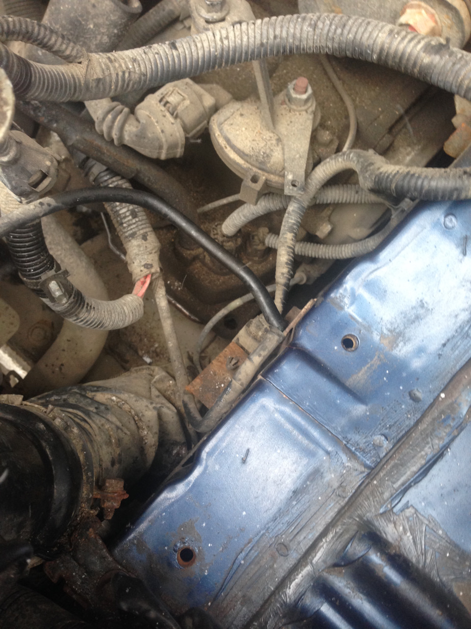 Фото в бортжурнале Hyundai Elantra (3G)