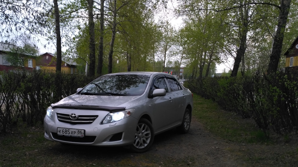 Toyota Corolla 日本鬼子
