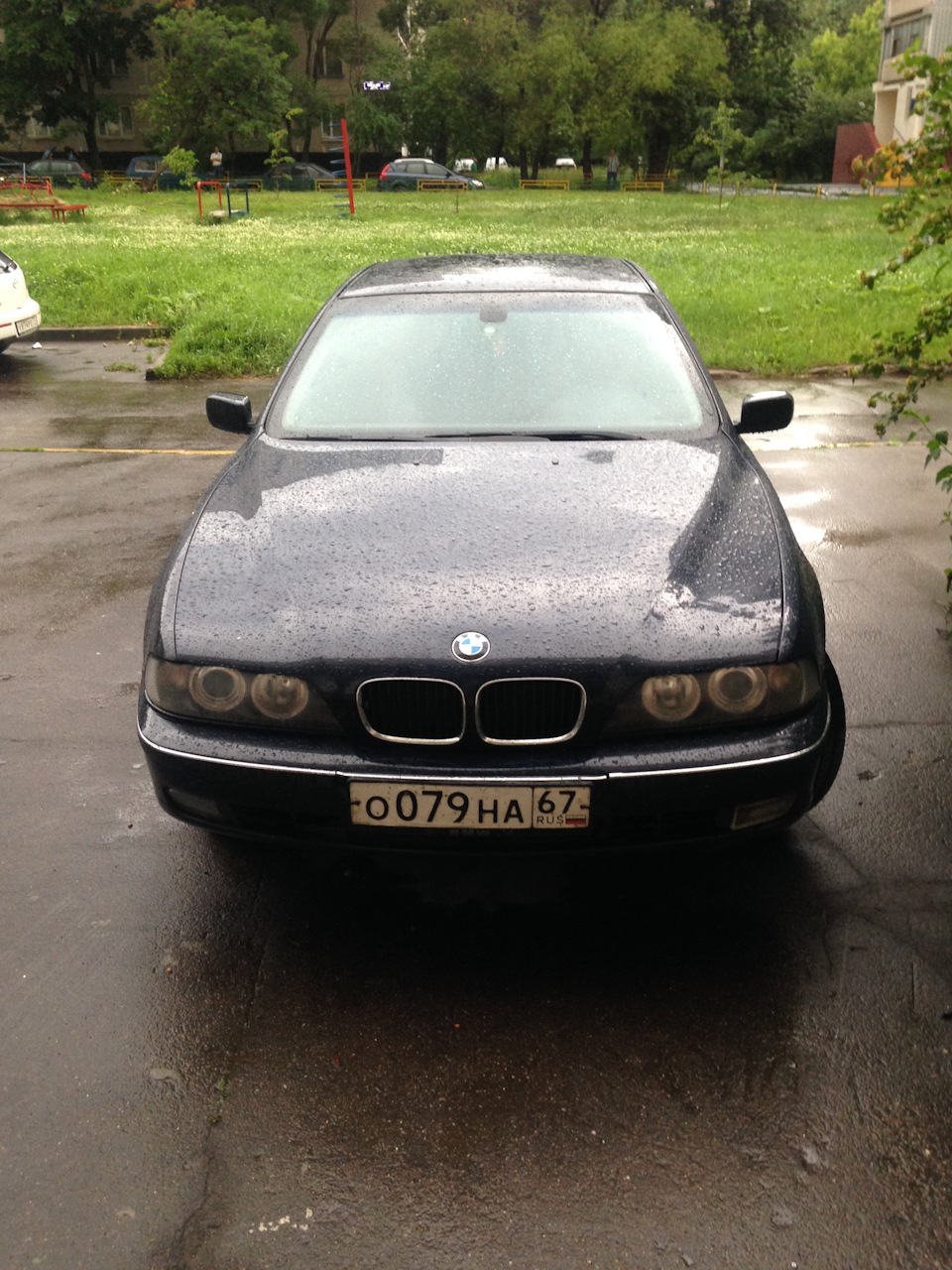 Фото в бортжурнале BMW 5 series (E39)