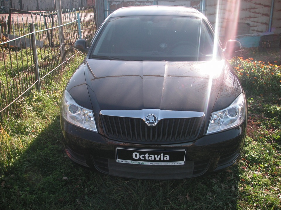Фото в бортжурнале Skoda Octavia A5 Mk2