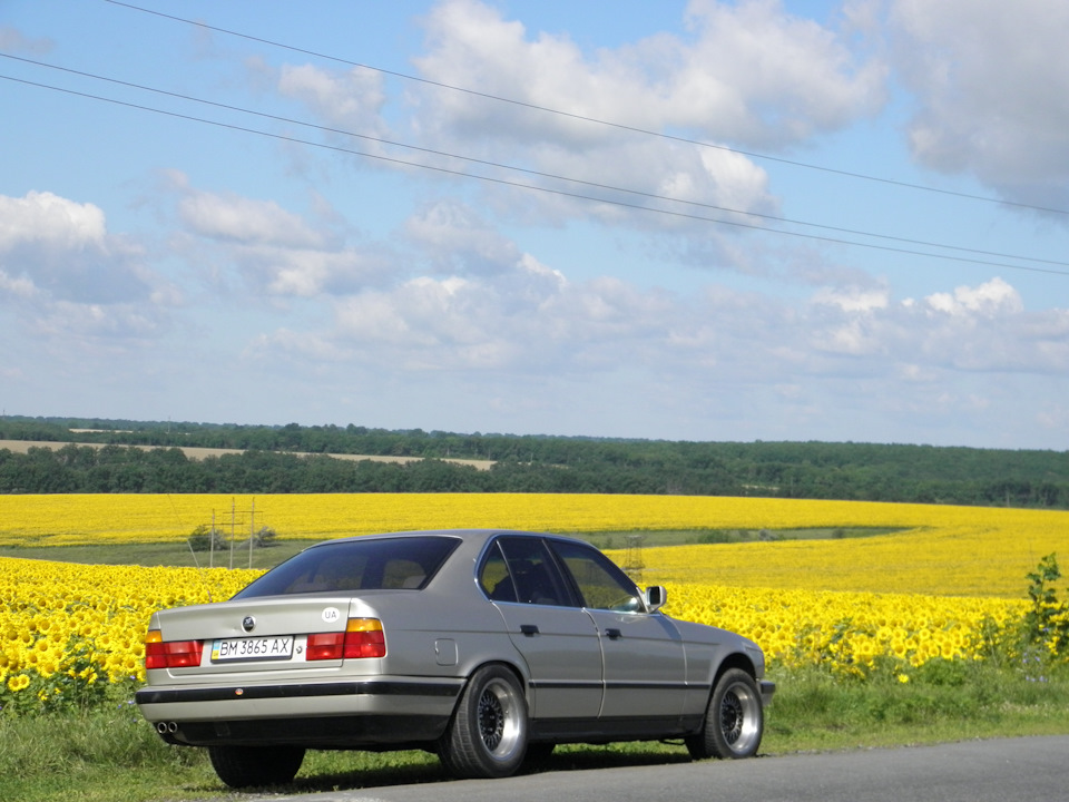 Фото в бортжурнале BMW 5 series (E34)