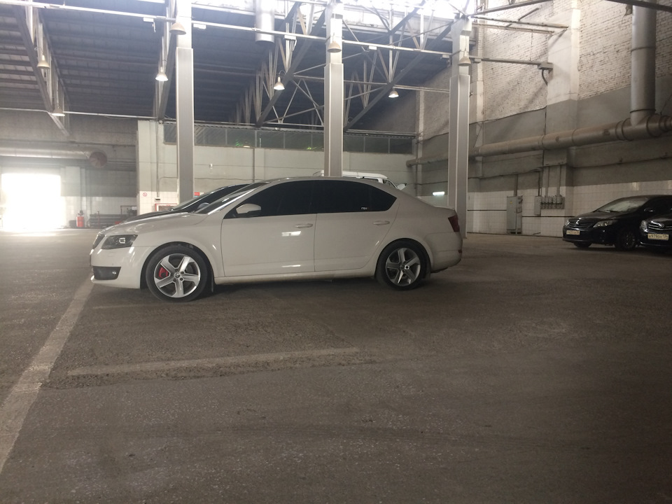 Вид из далека — Skoda Octavia A7 Mk3