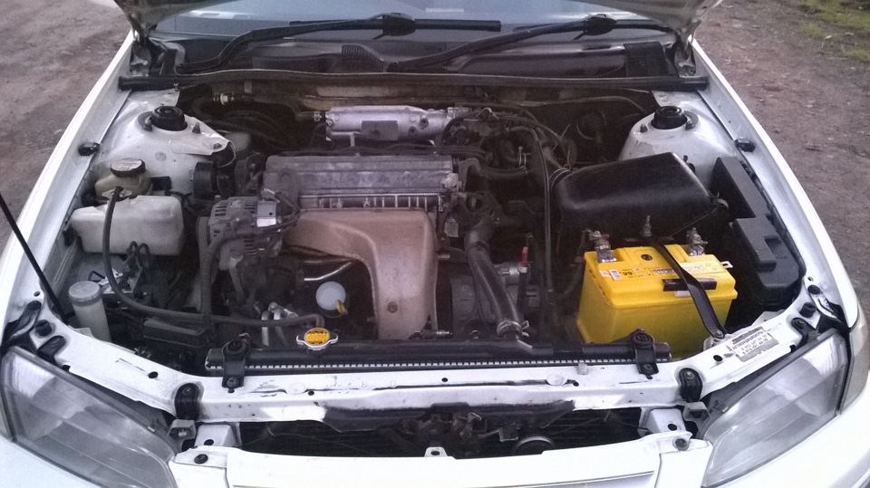 Фото в бортжурнале Toyota Camry Gracia