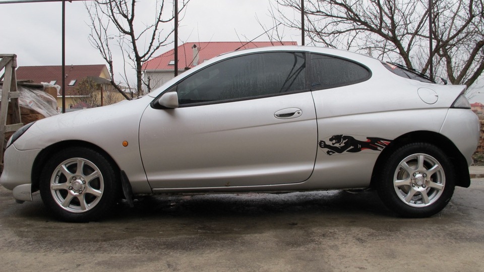 Ford Puma кошка городских джунглей
