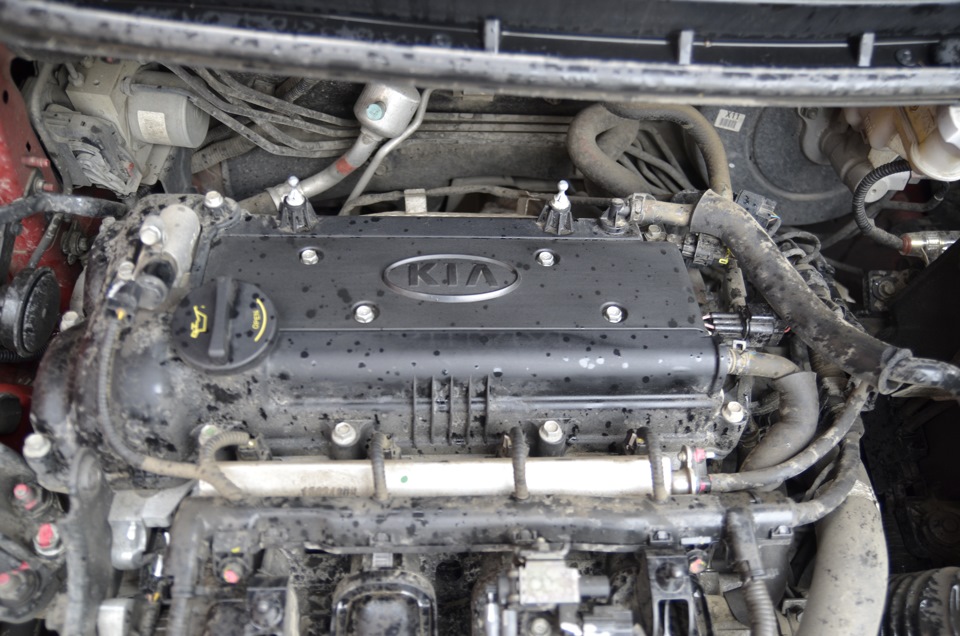 Крышка катушек — KIA Ceed SW (2G)