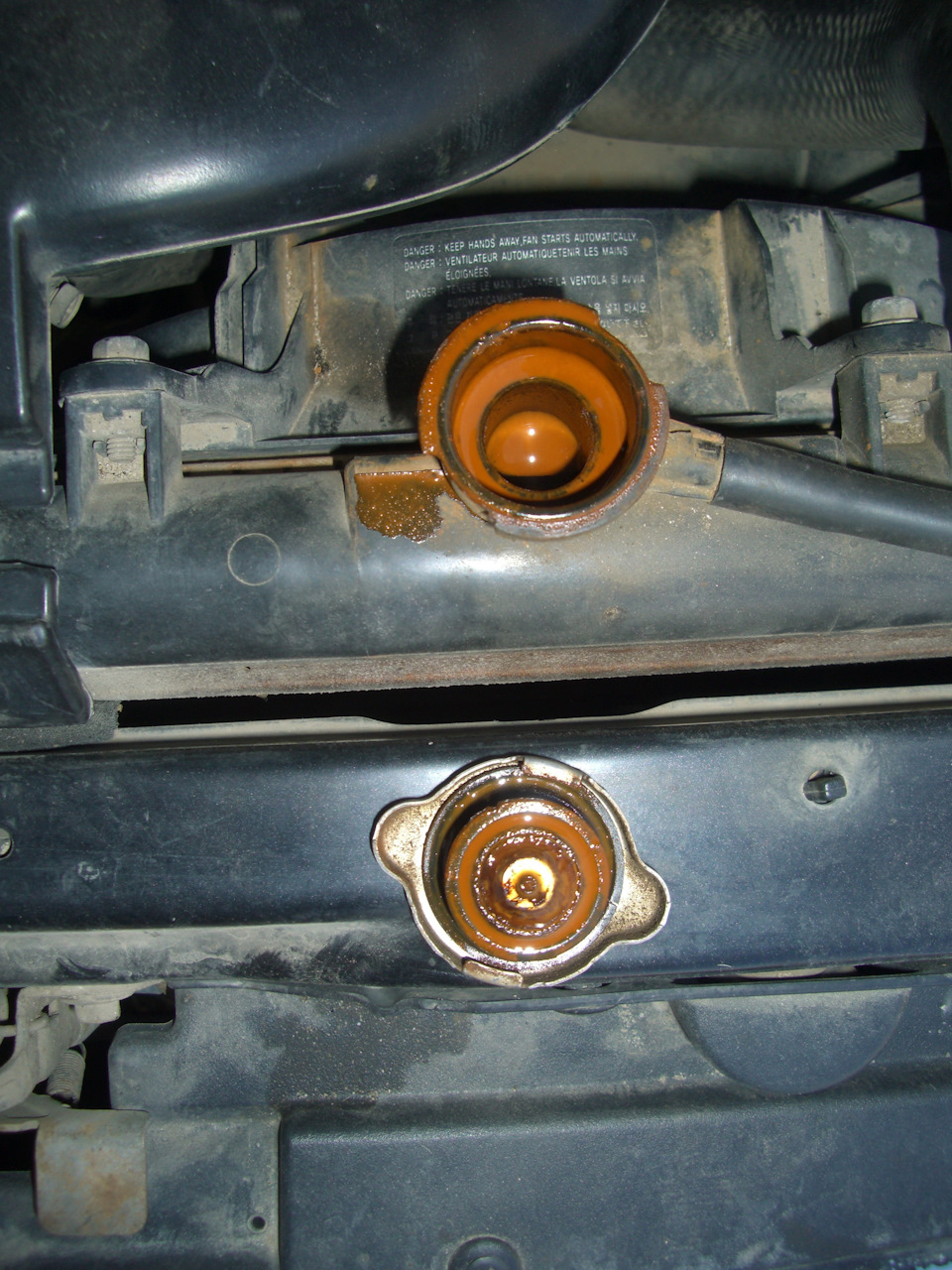Фото в бортжурнале KIA Spectra