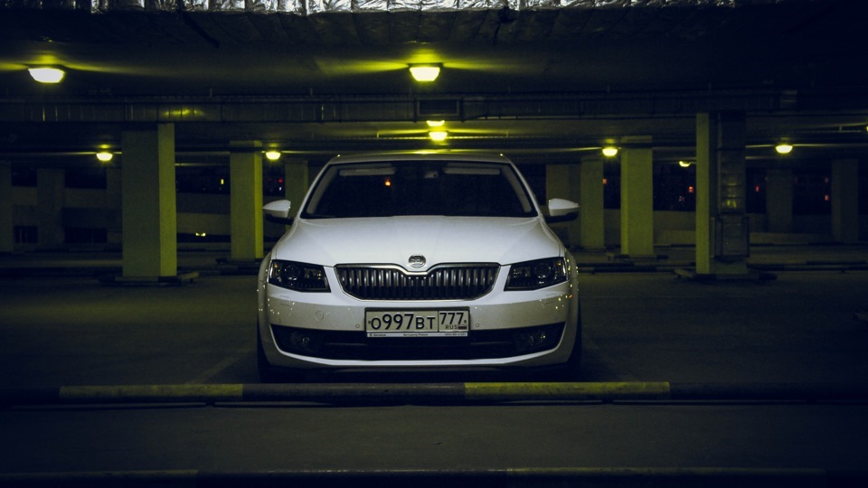 Фото в бортжурнале Skoda Octavia A7 Mk3