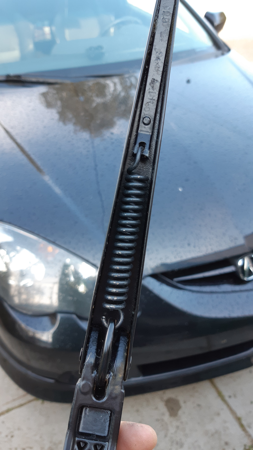 Фото в бортжурнале Acura RSX