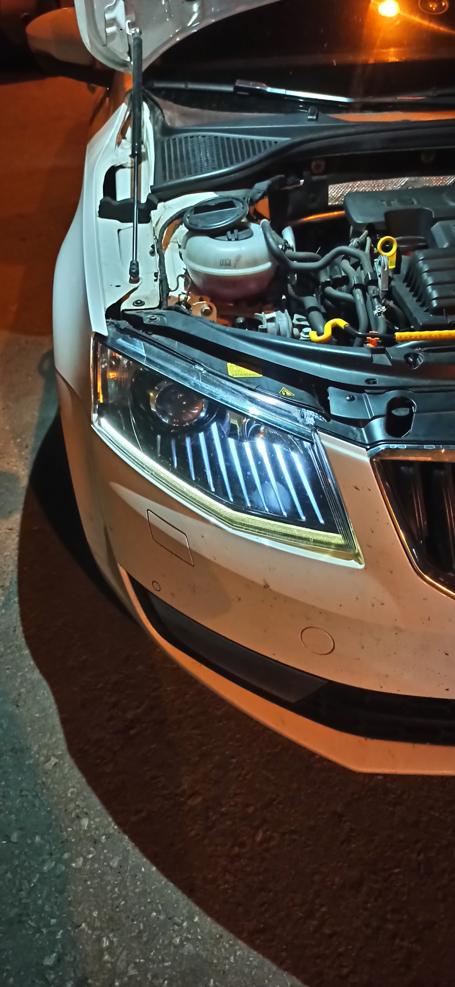 не горит зараза такая… — Skoda Octavia A7 Mk3