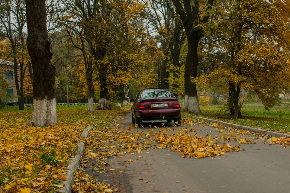 Фото в бортжурнале Audi A4 (B5)