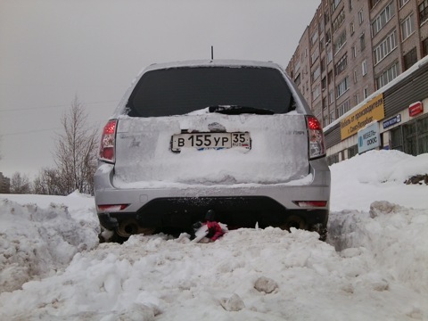 Фото в бортжурнале Subaru Forester (SH)
