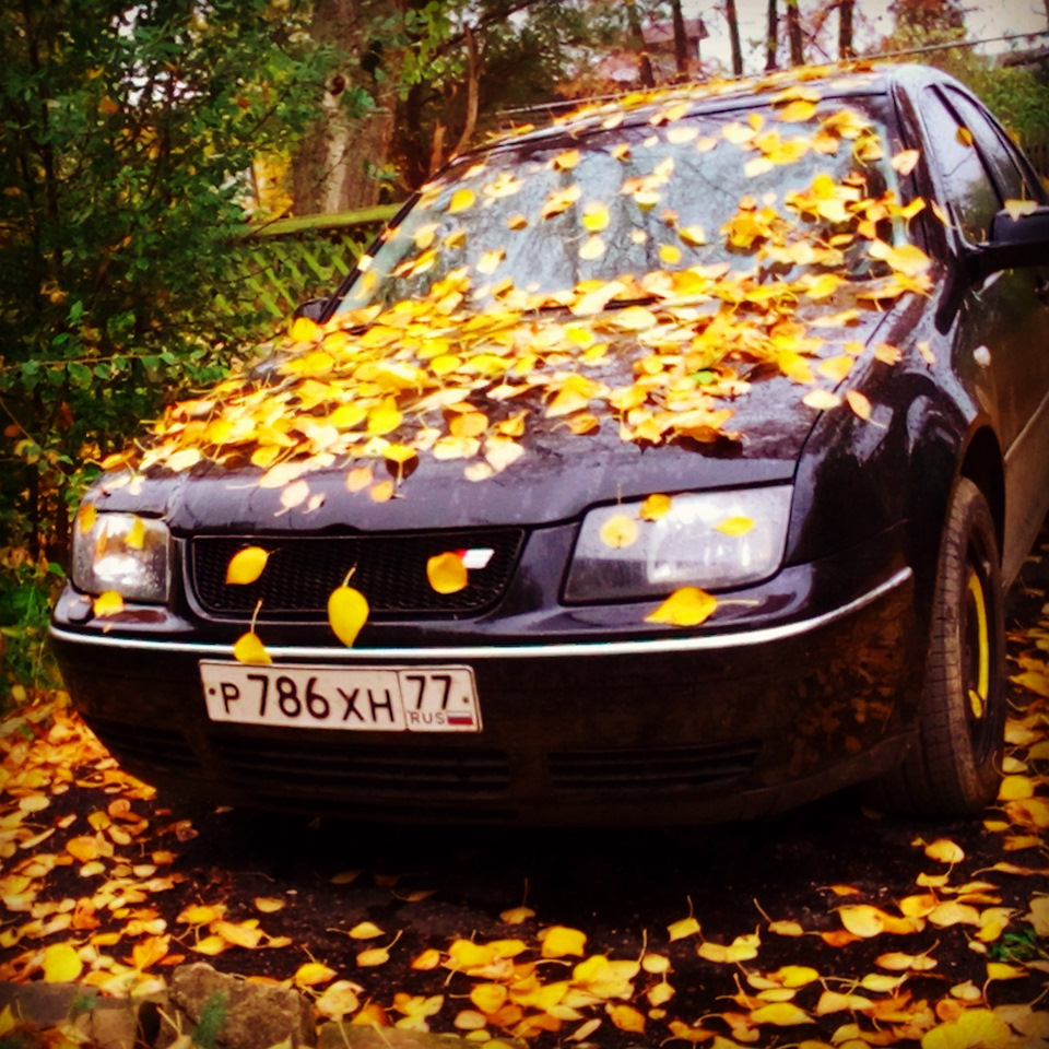 Фото в бортжурнале Volkswagen Bora (1G)