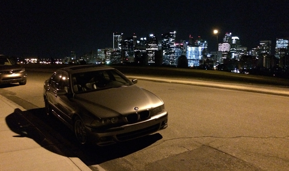…Это не только ценный мех… — BMW 5 series (E39)