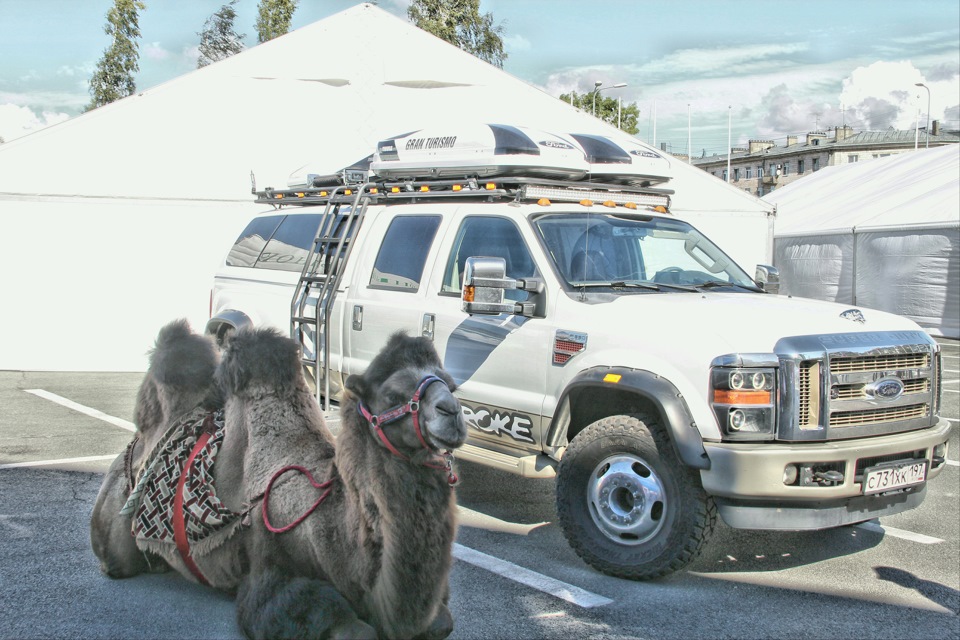 Photo from the logbook Ford F-Series (12G)