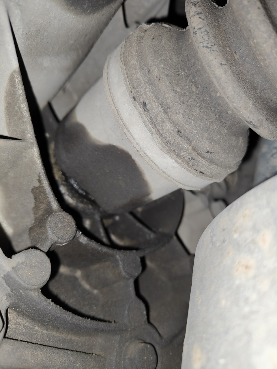 Фото в бортжурнале Ford Fusion