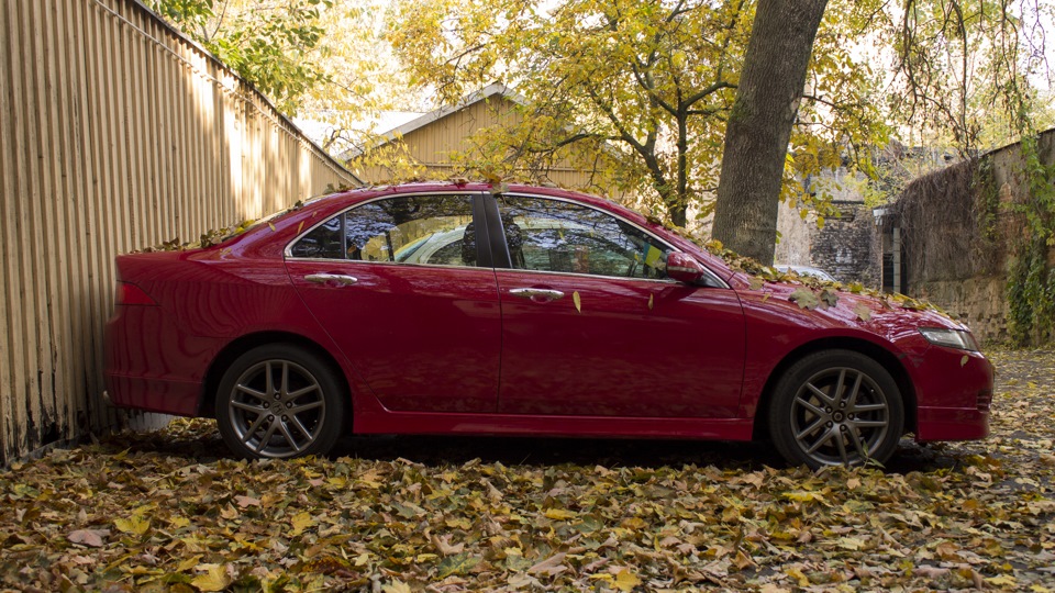 Honda Accord : Красный реSтайл
