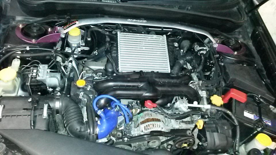 Фото в бортжурнале Subaru Forester (SH)