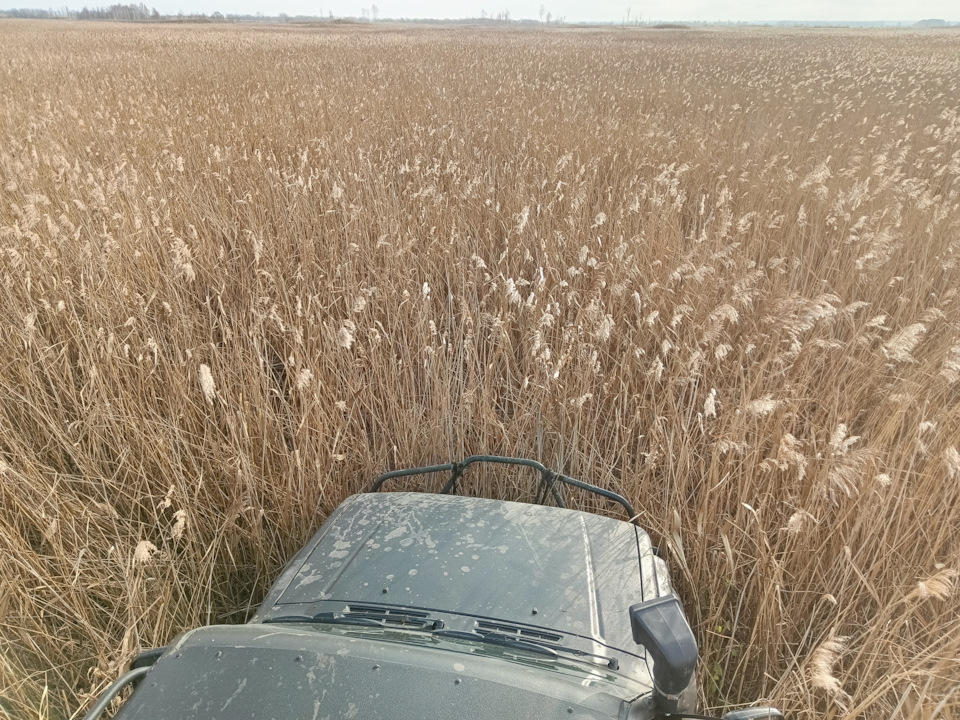 Фото в бортжурнале Mitsubishi Pajero (2G)